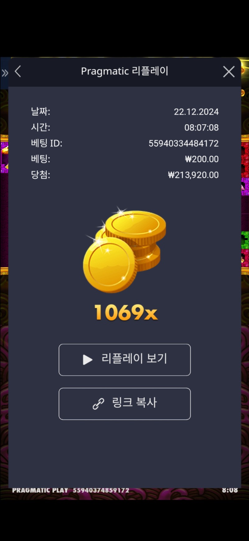 토라메 1069배