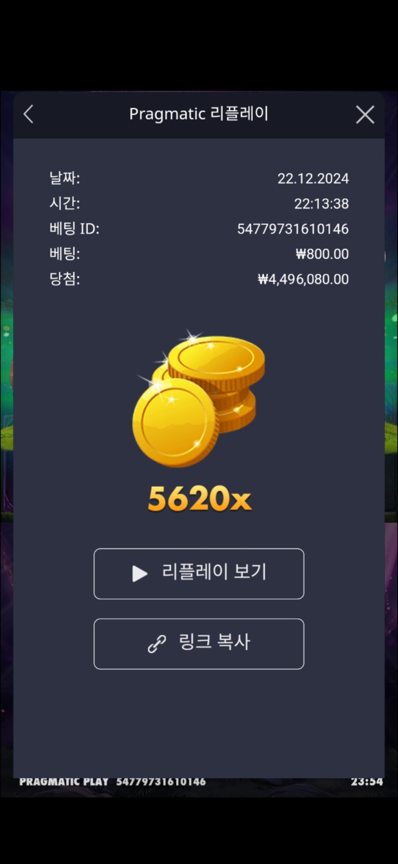 멀린5620배