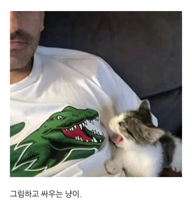 악어랑 전투중인 냥이