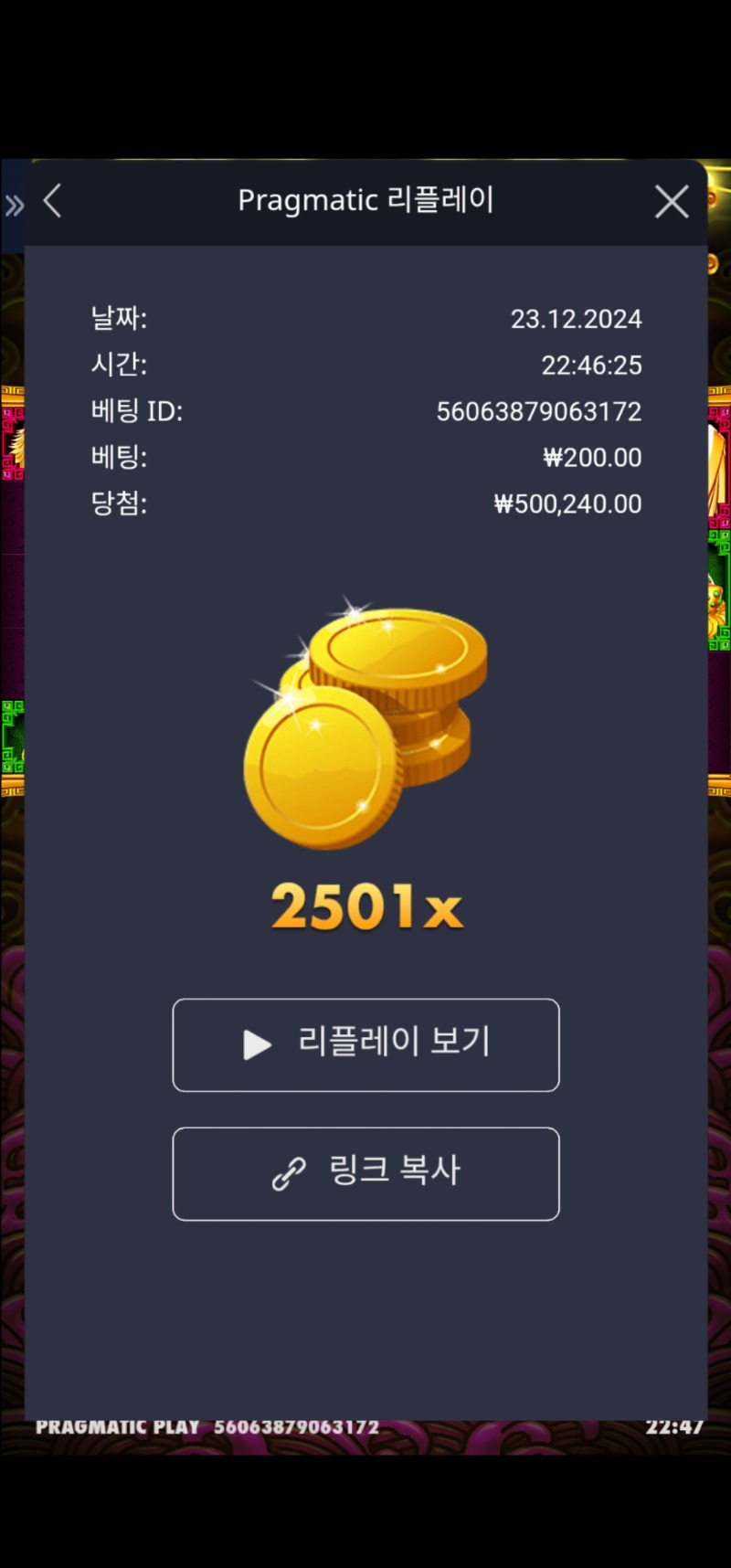 토라메 2501배