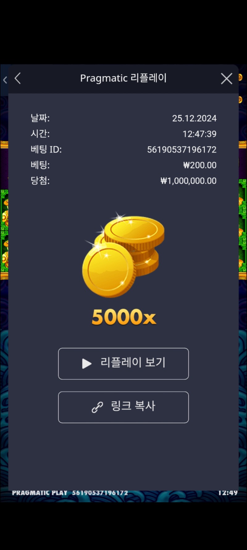 오라매 5000