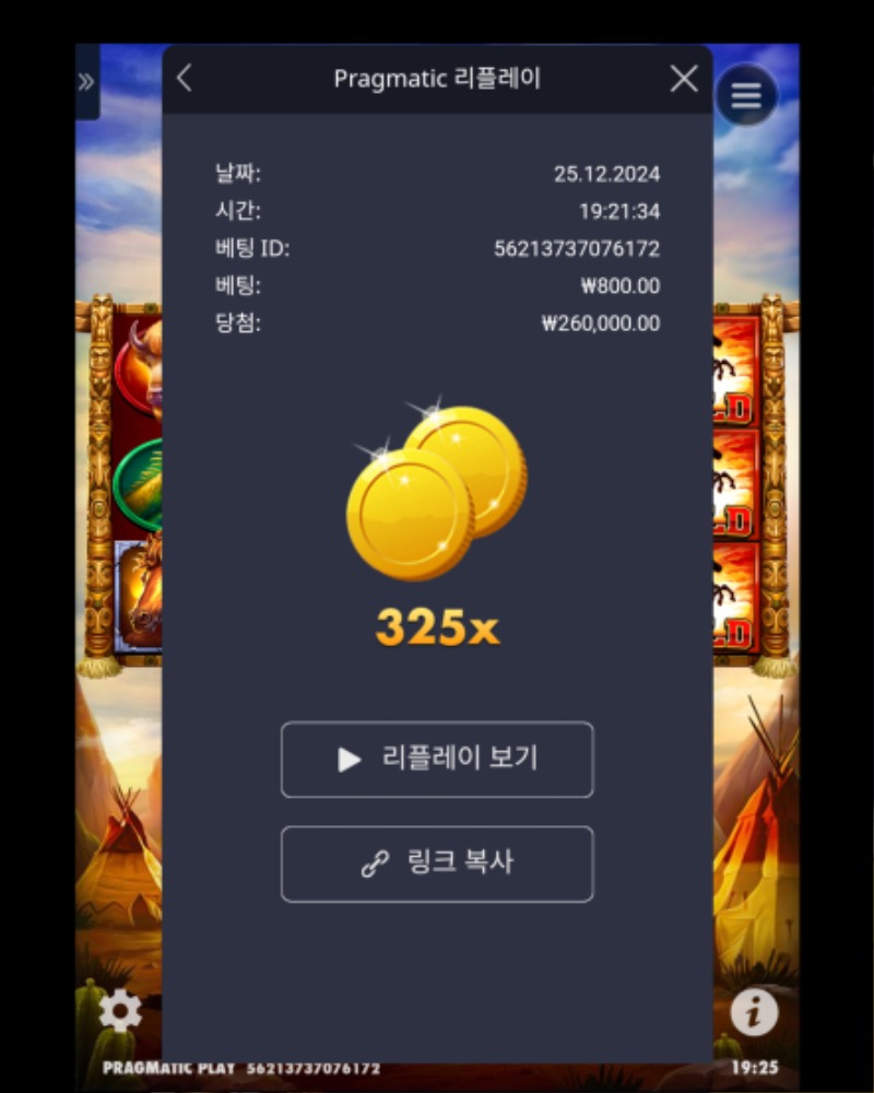 머스탱 트레일 325배