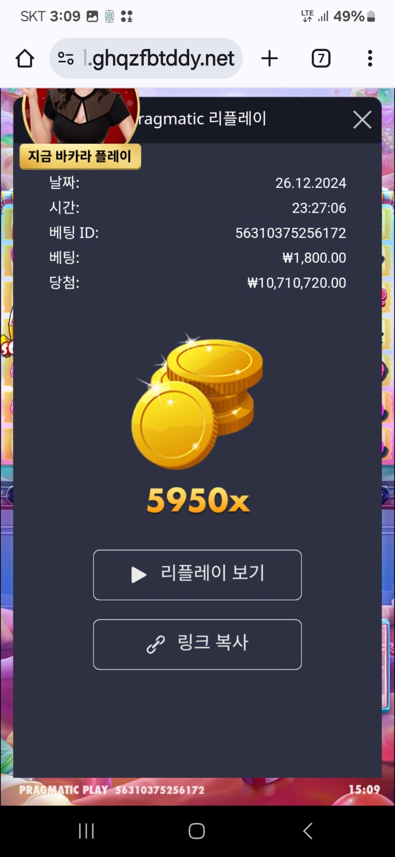 슈가천 5950배