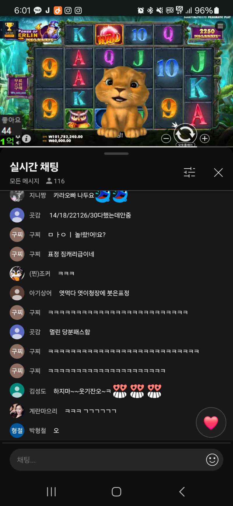 ㅋㅋㅋ사자ㅋㅋㄱ