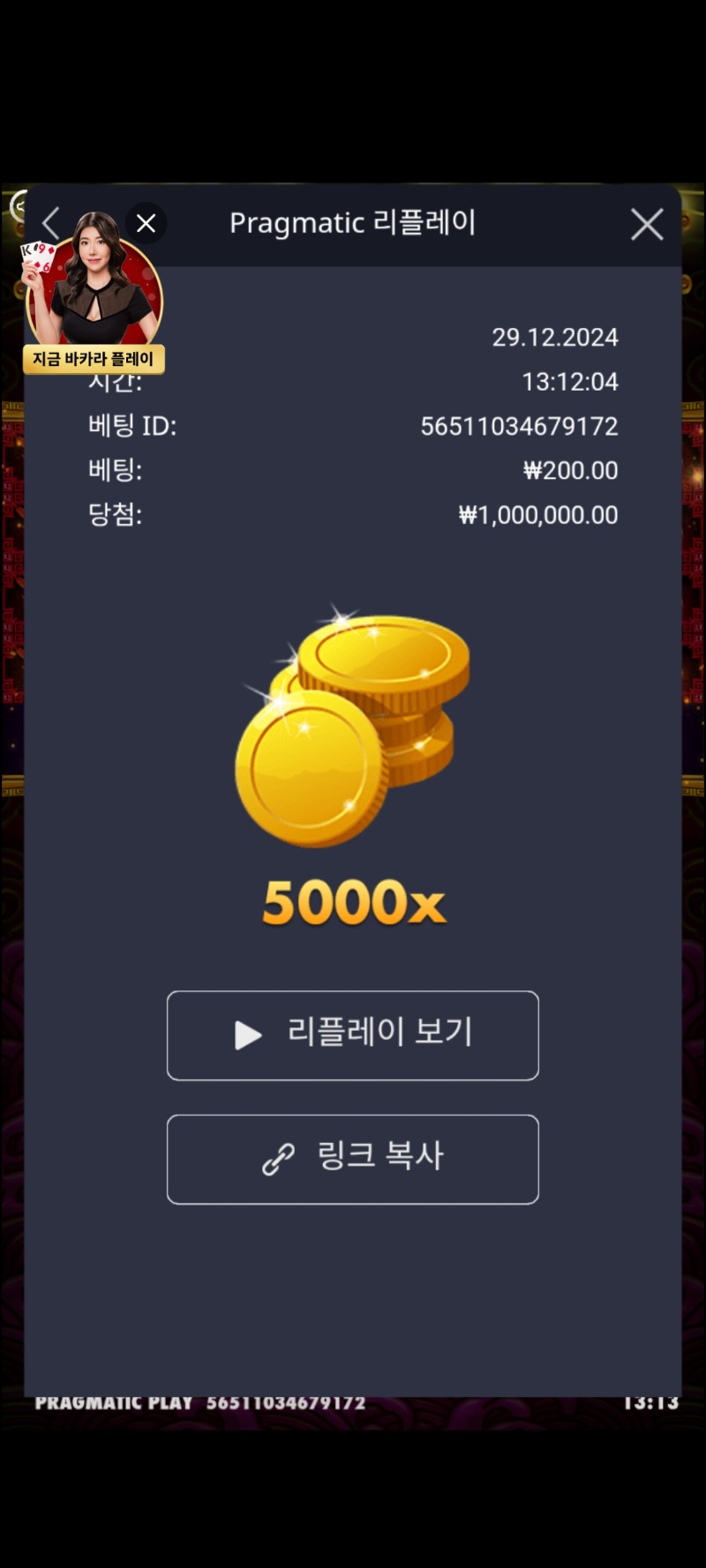 토라메 5000배