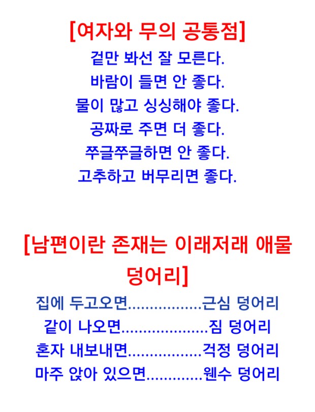 여자와 무 공통점 (17금) + 남편의존재