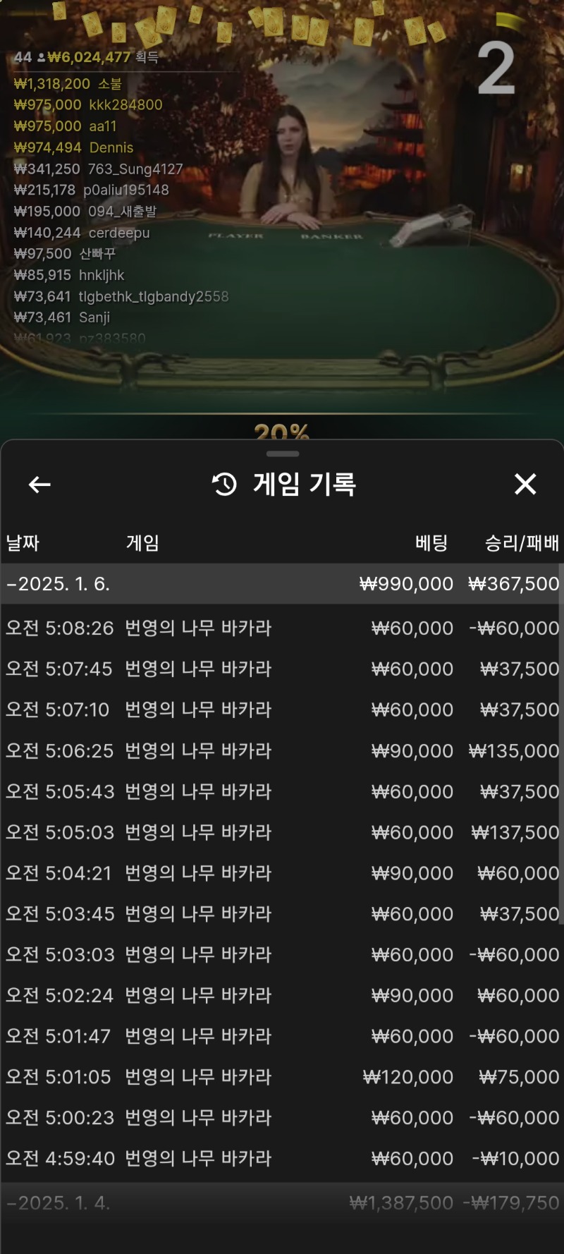 바카라 7연승