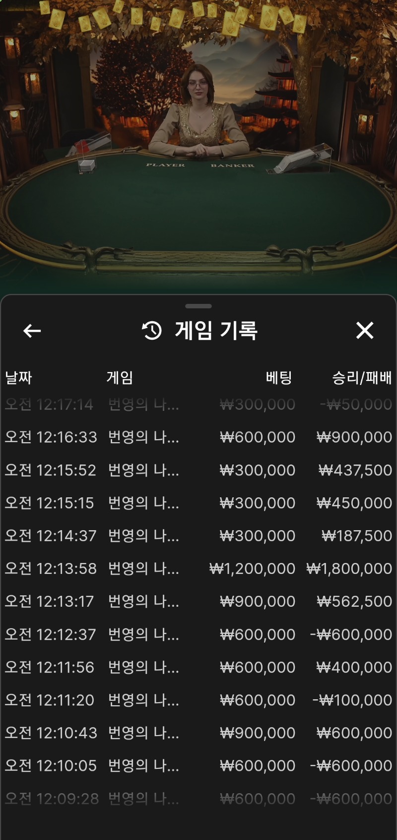 바카라6연승
