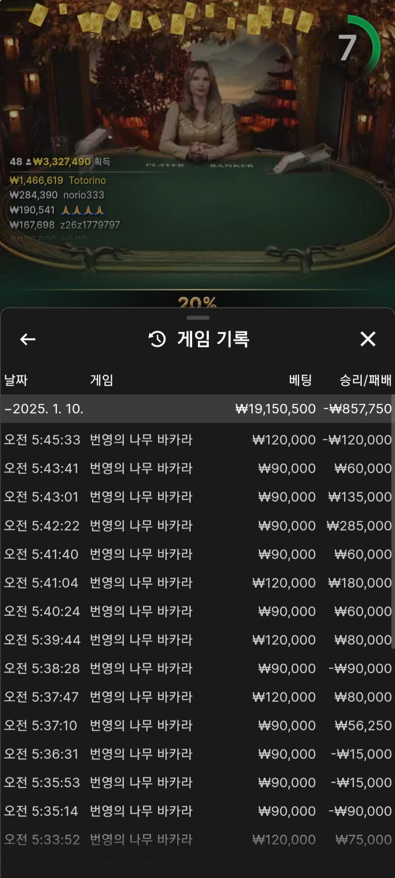 바카라 7연승