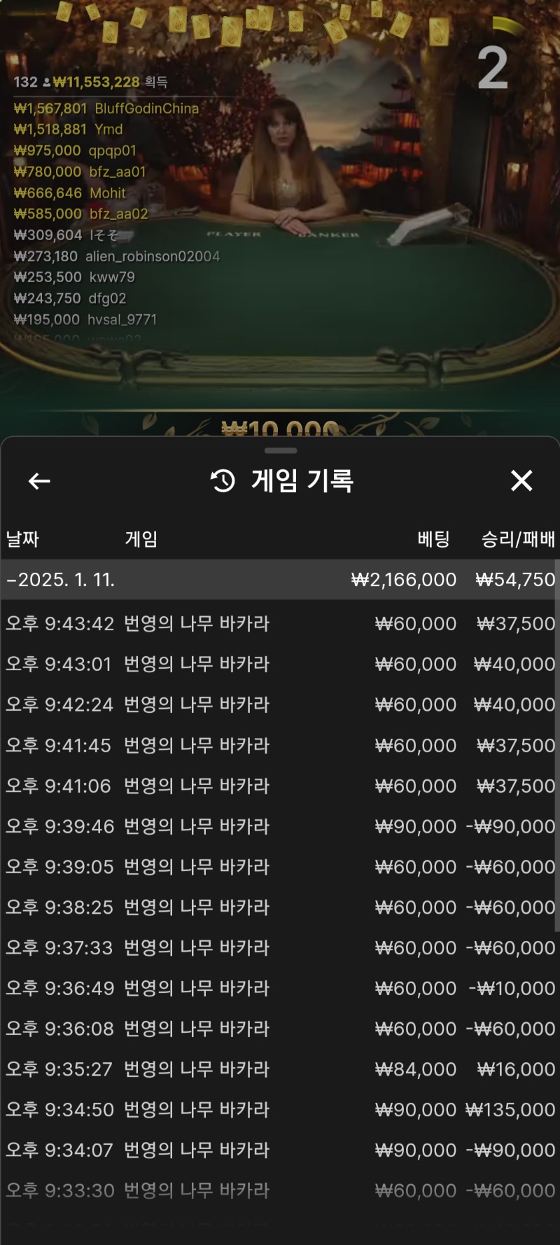 바카라 5연승