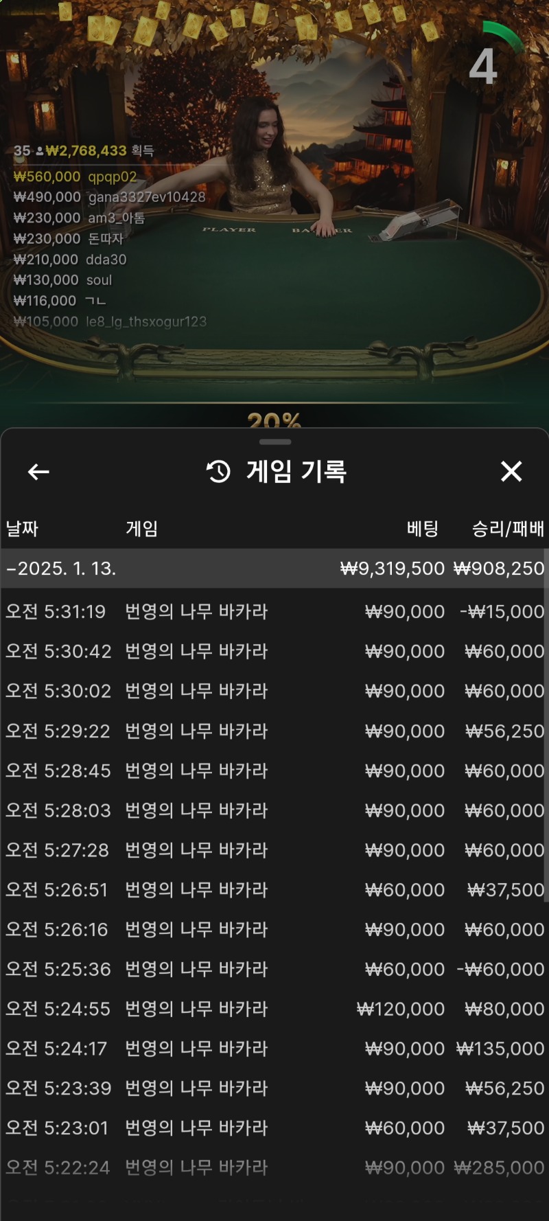 바카라 8연승