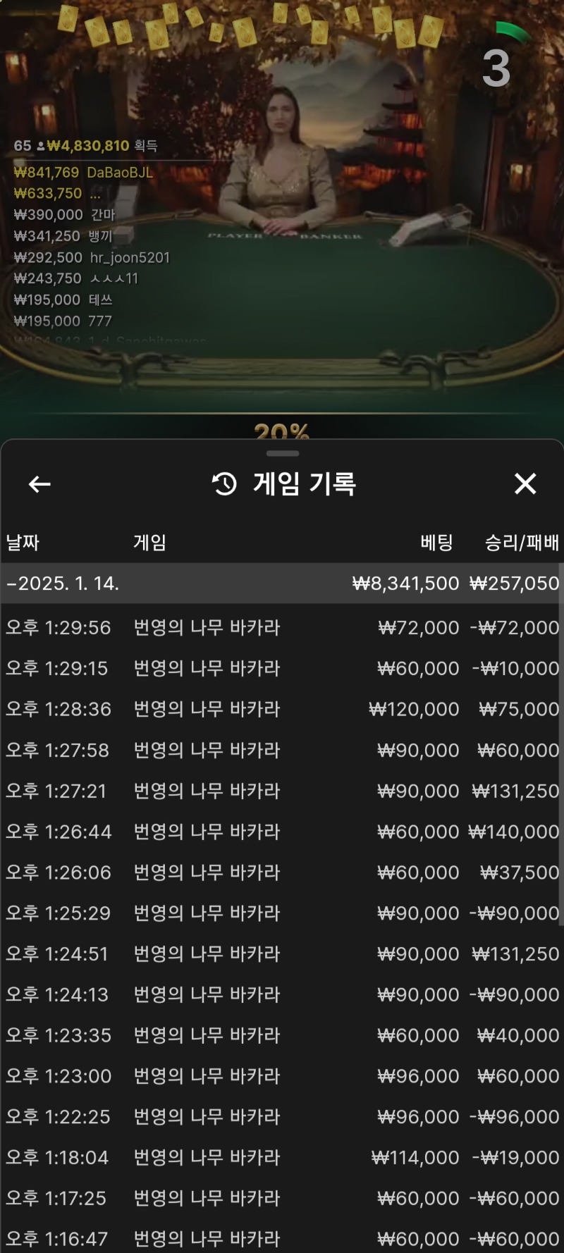 바카라 5연승