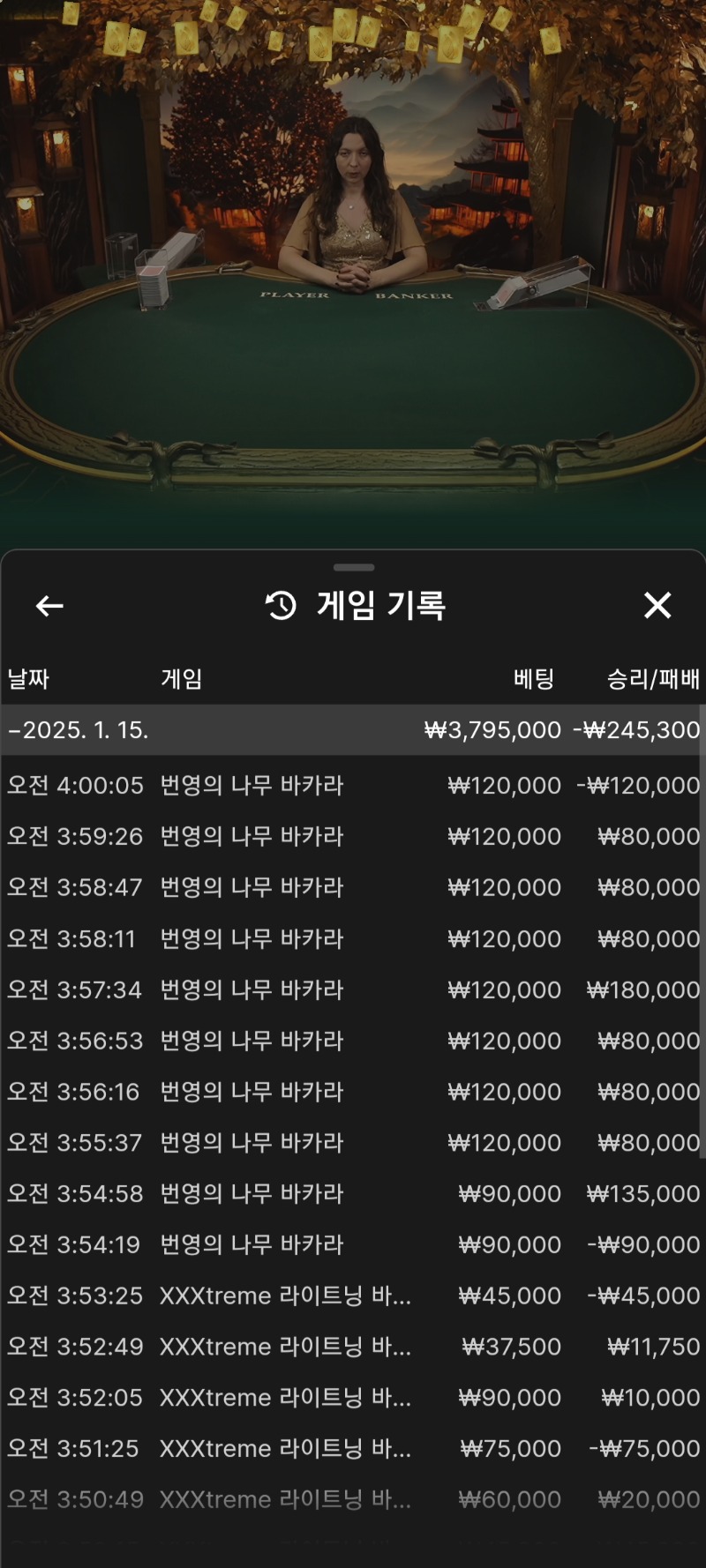 바카라 8연승