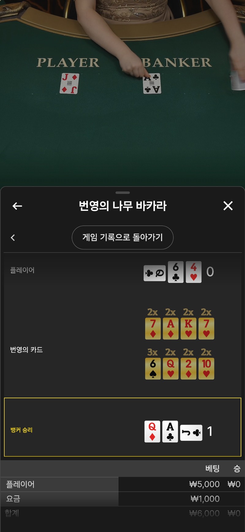 소액바카라 1패