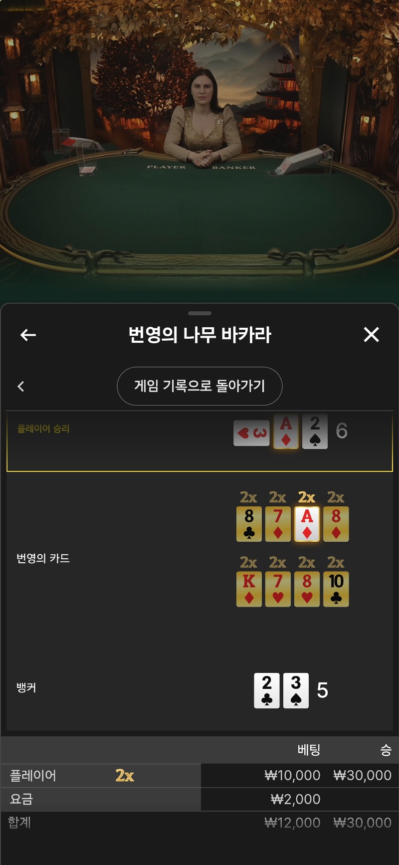 바카라 2승