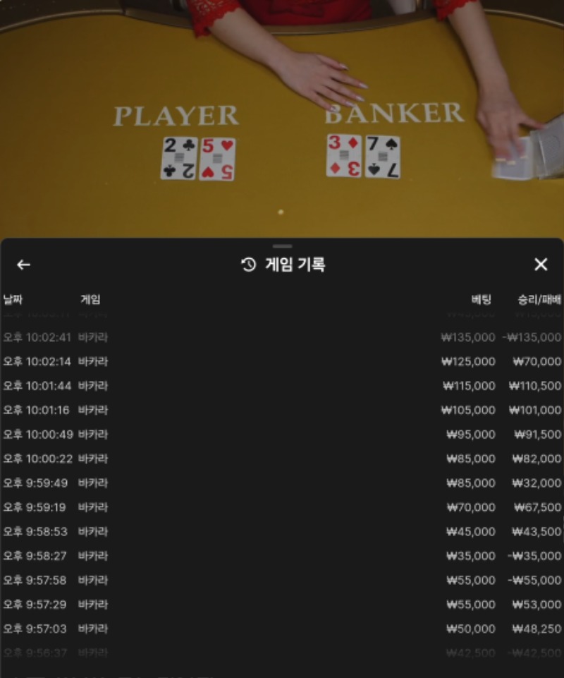 바카라 8연승