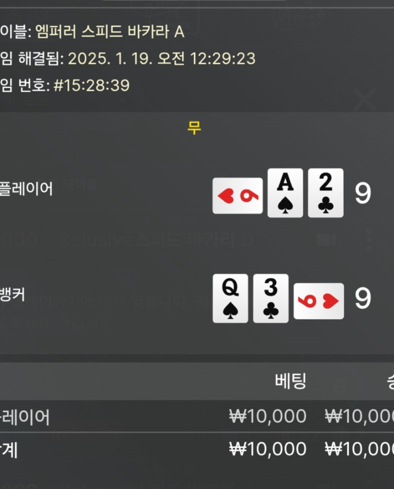 19일자 무