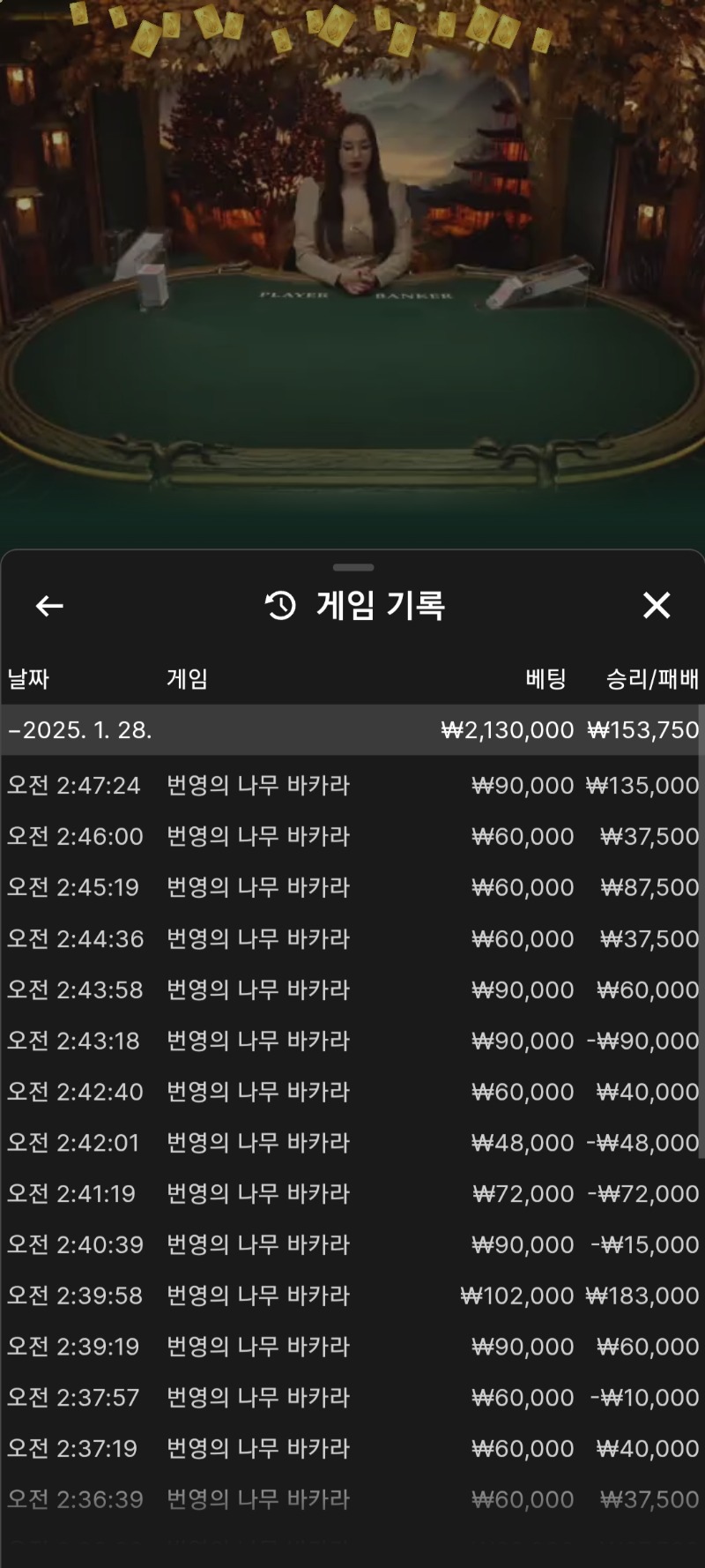 바카라 5연승