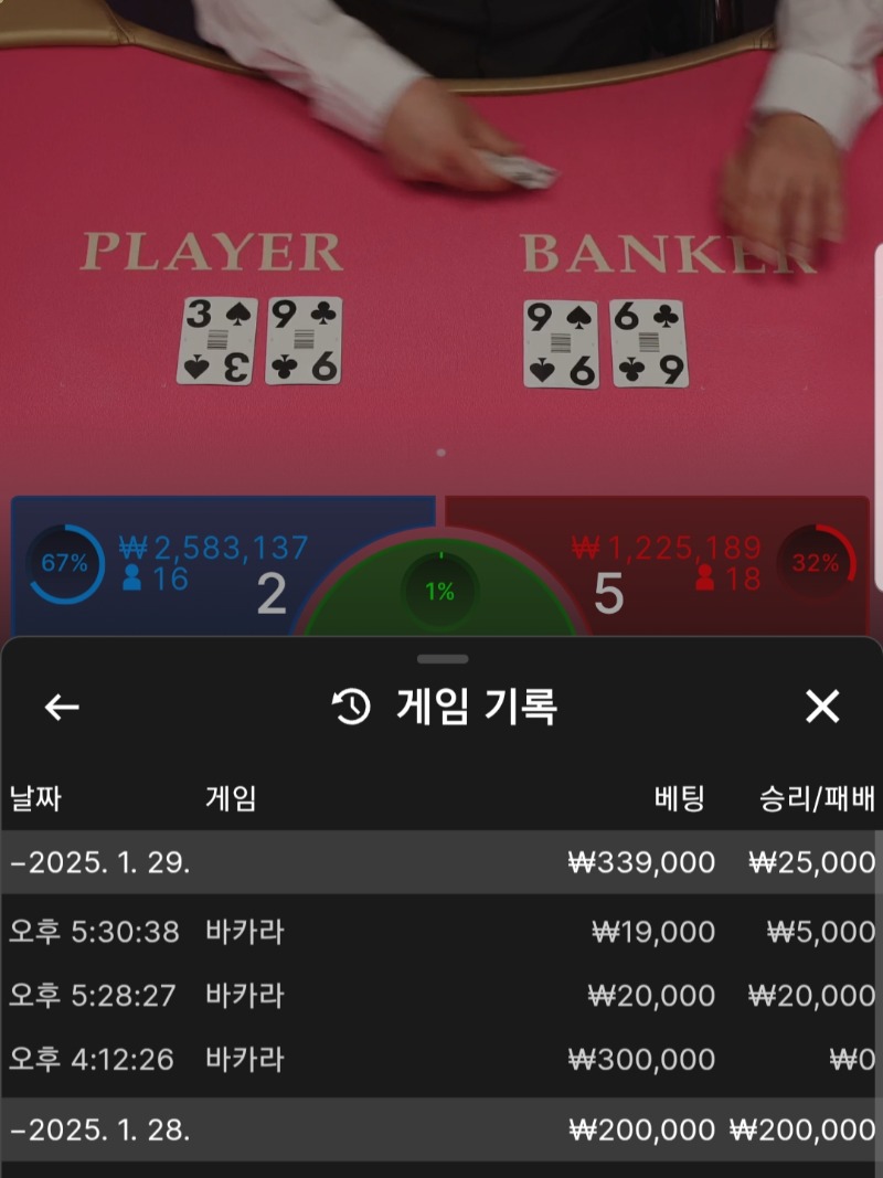 양이형 쿱 사용