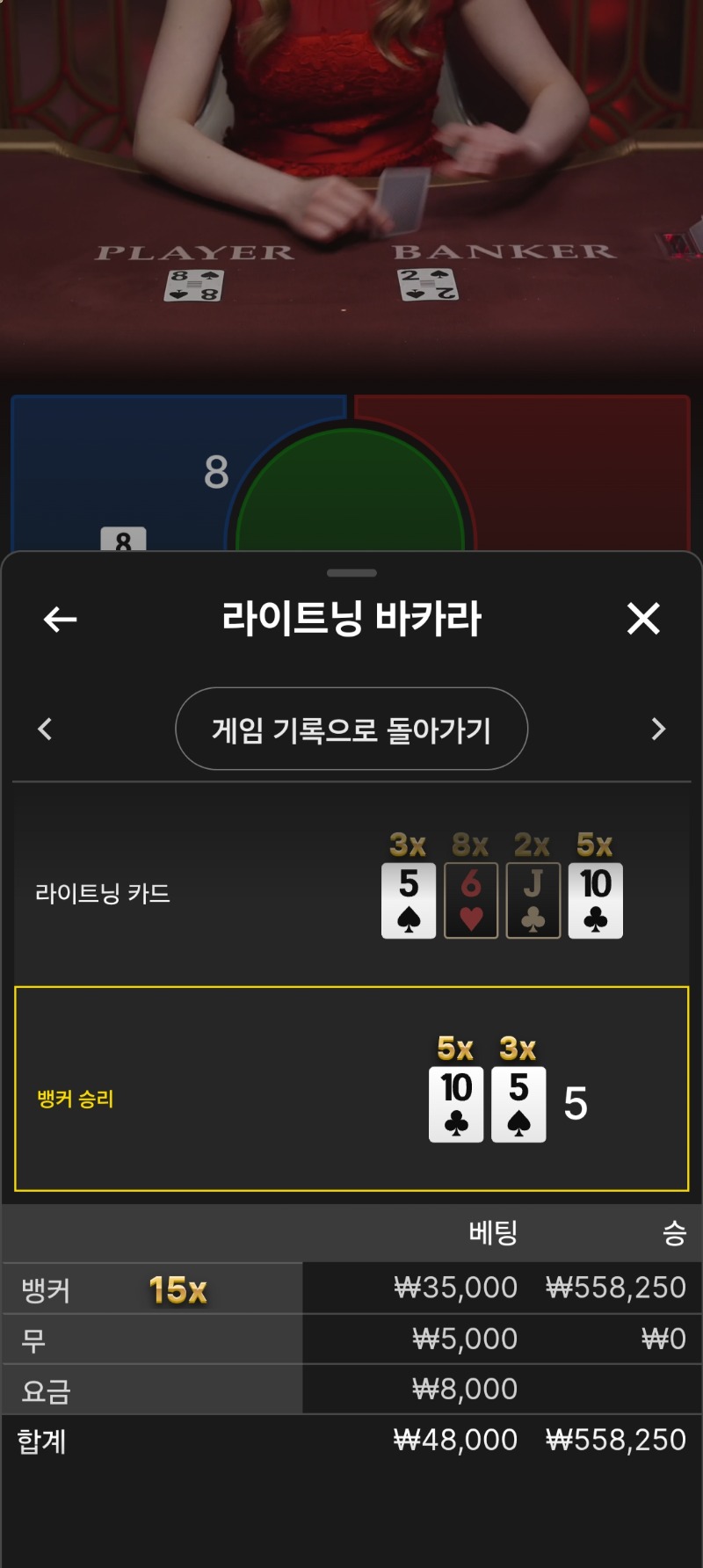 라이트닝번개