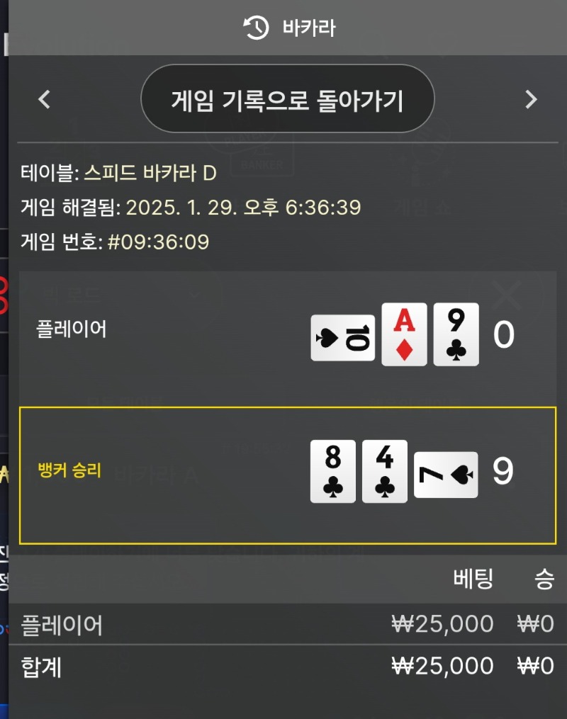 29일 이게 맞나..??