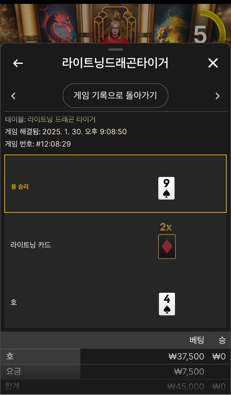 라이트닝용호.. 너 뭐니..