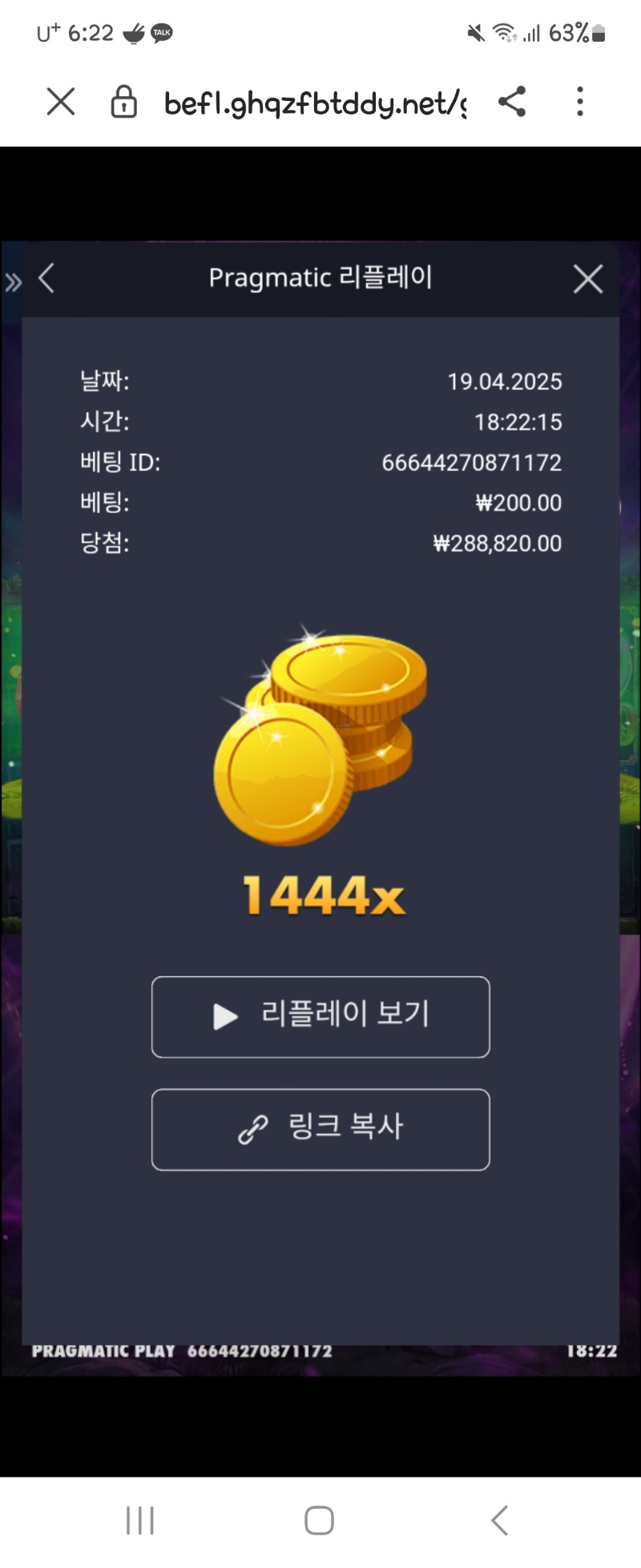 멀린 1444배
