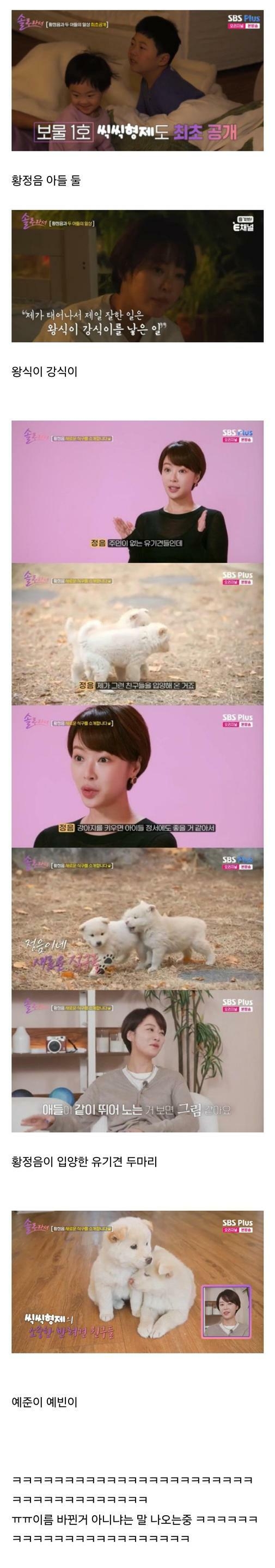 황정음 아들 둘 강아지 둘 이름