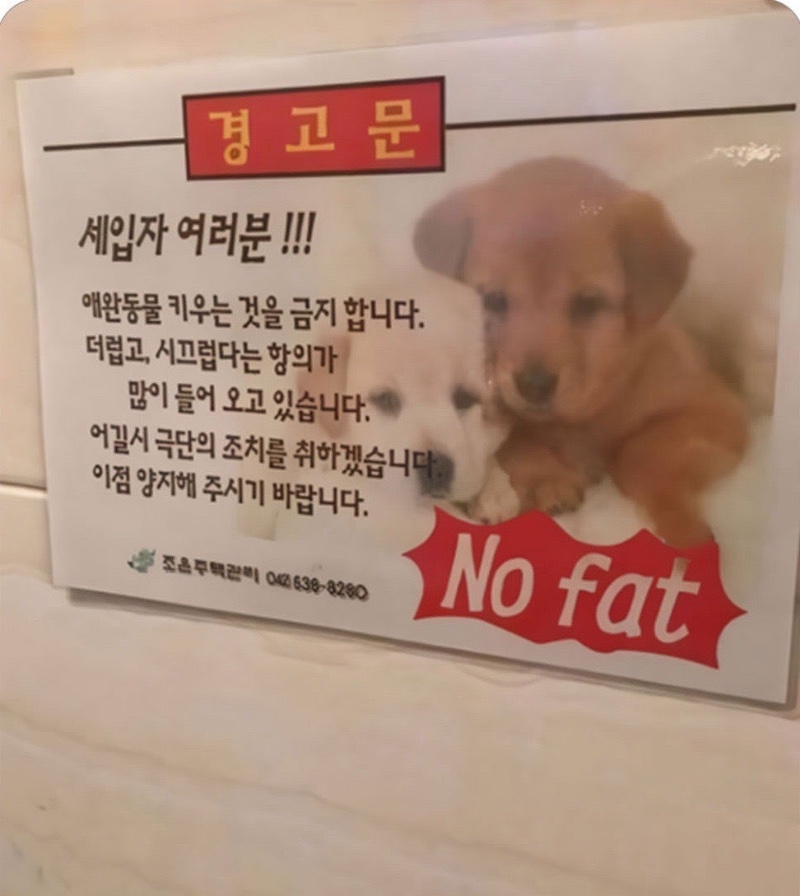 갑자기 비만 경고