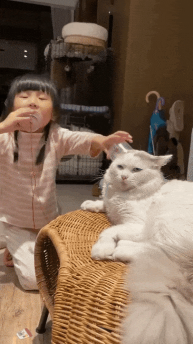 체념한 냥냥이 표정