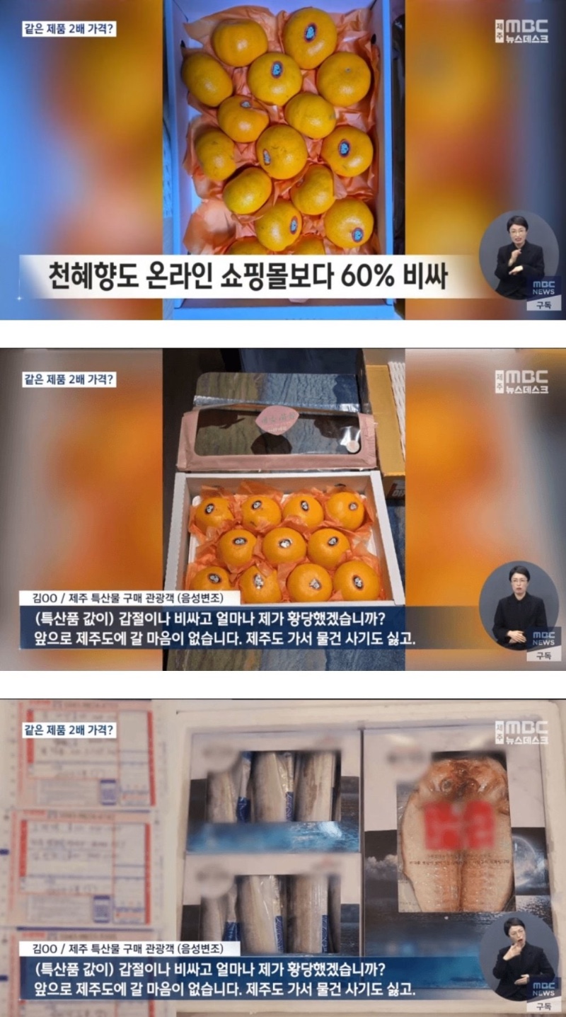 제주도 호구 모집 현황