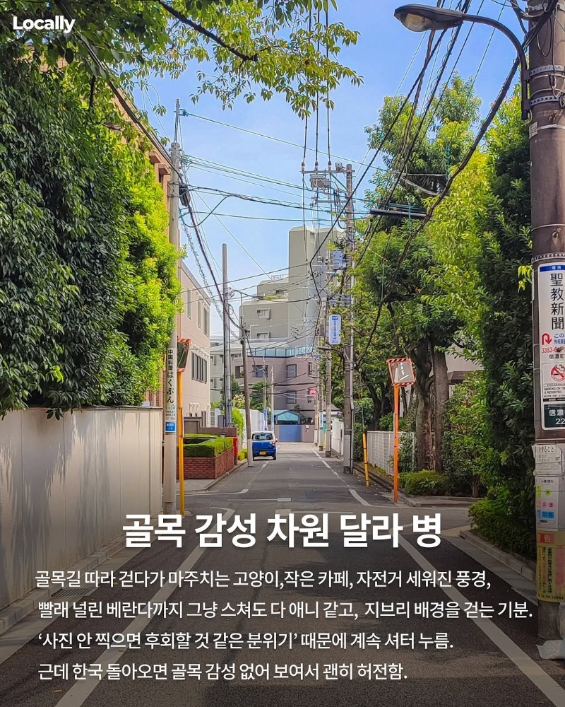 일본여행 후 걸리는 병