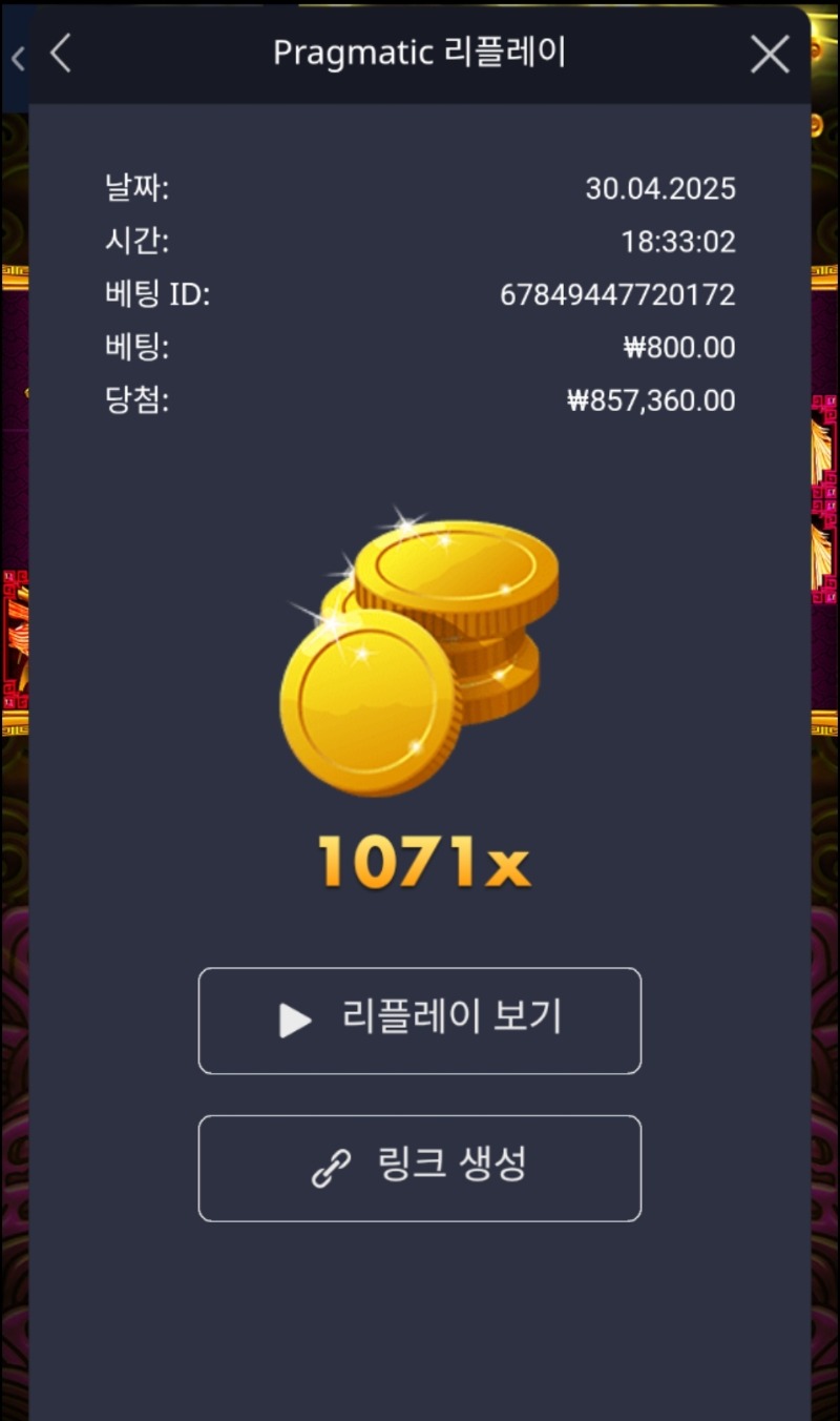 토라메 1071배