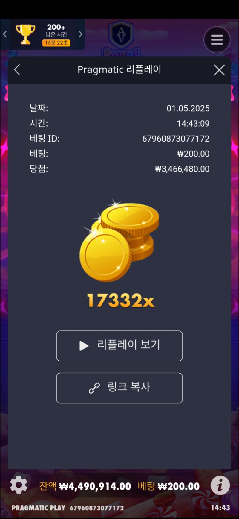 로얄슈가1000 17332배
