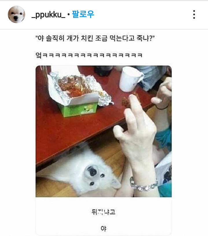 귀엽개