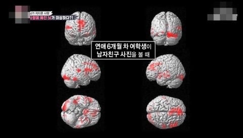 연애할 필요가 없는 과학적인 이유