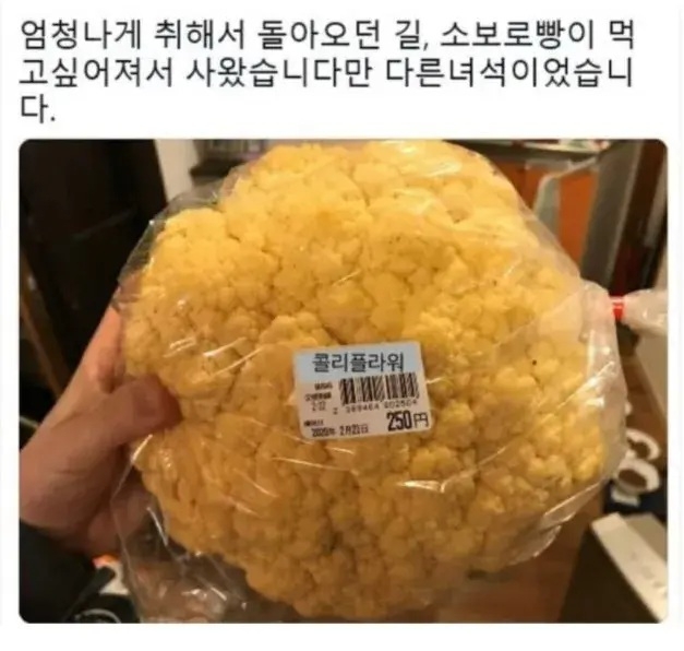 술 먹고 사온 소보로빵