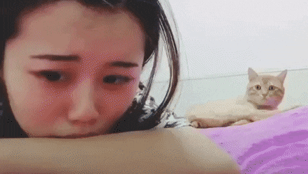 슬픈 집사 달래주는 냥이