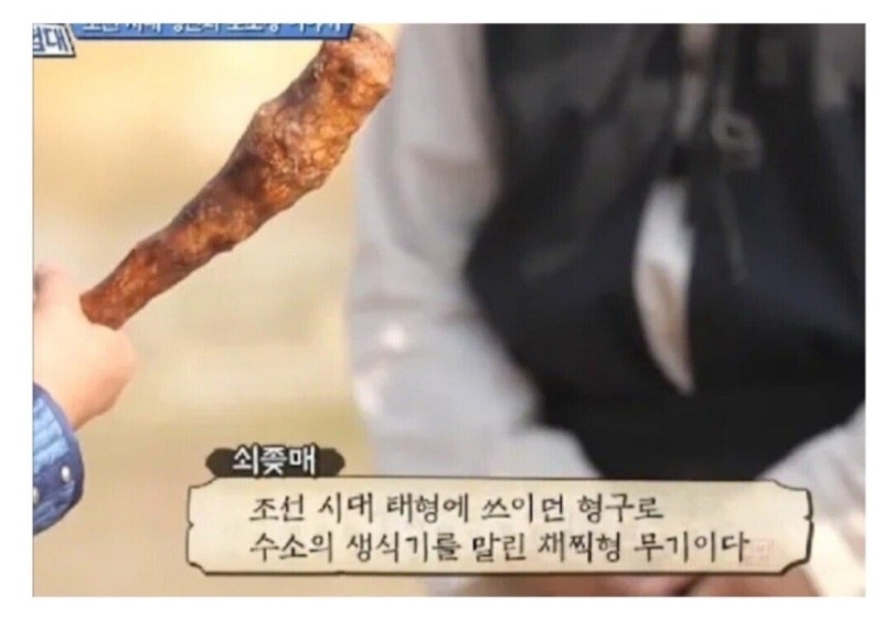 조선의 진짜 거시기.한 무기
