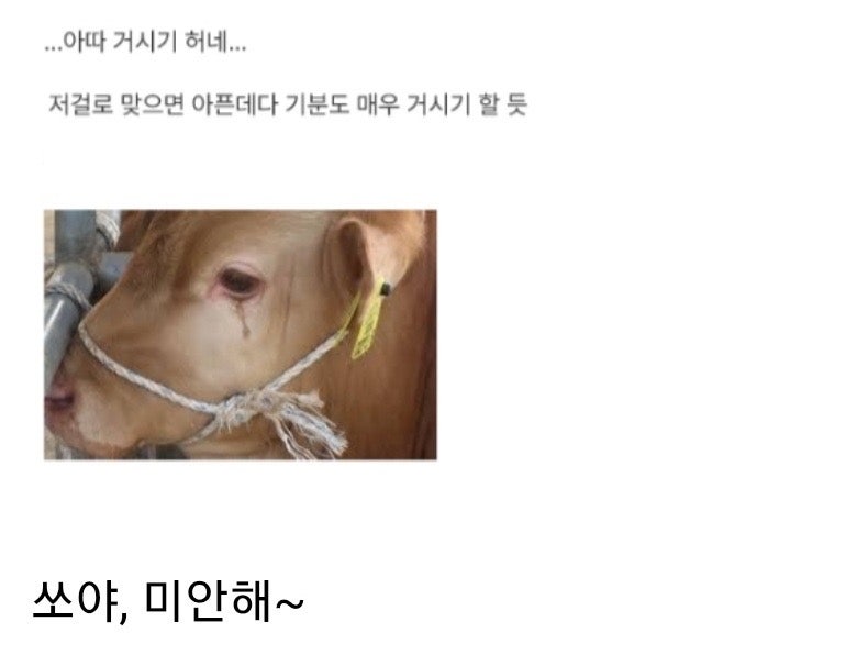 조선의 진짜 거시기.한 무기