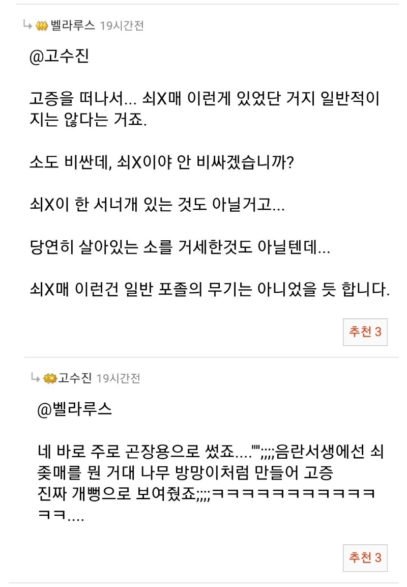 조선의 진짜 거시기.한 무기