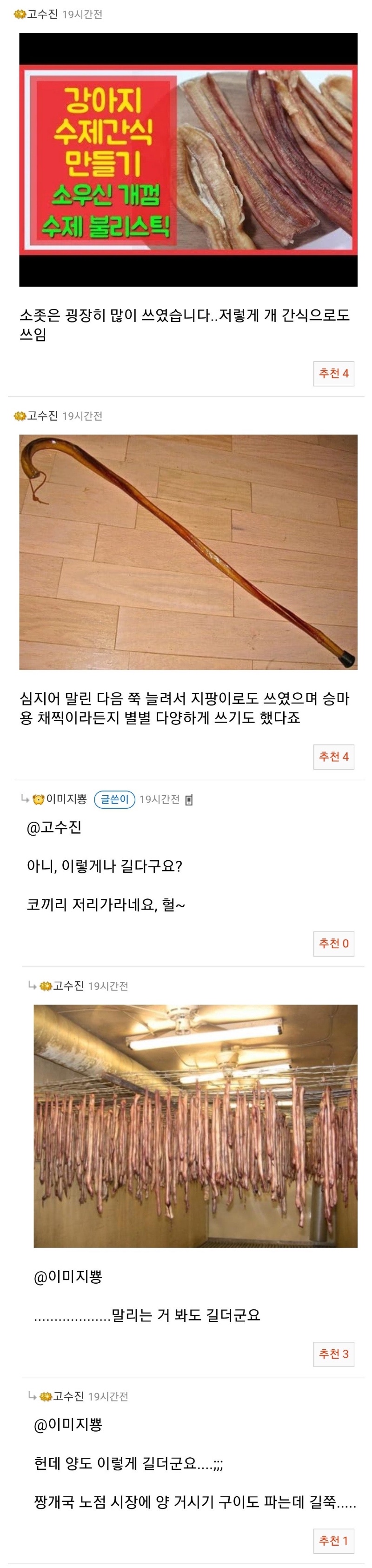 조선의 진짜 거시기.한 무기
