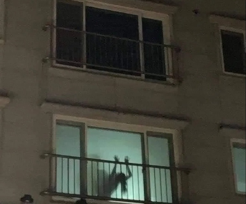 창치기