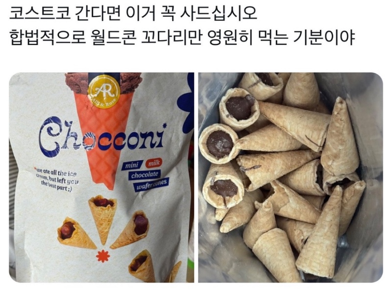 월드콘 꼬다리파를 위한 제품