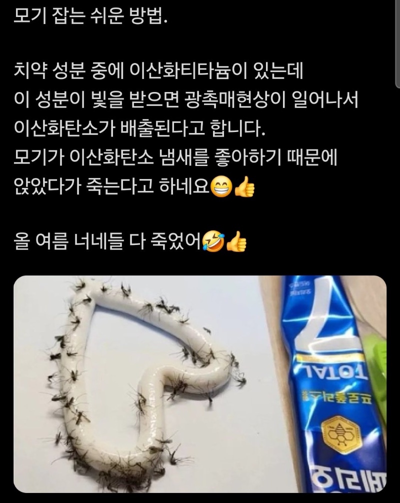 모기 잡는 쉬운 방법