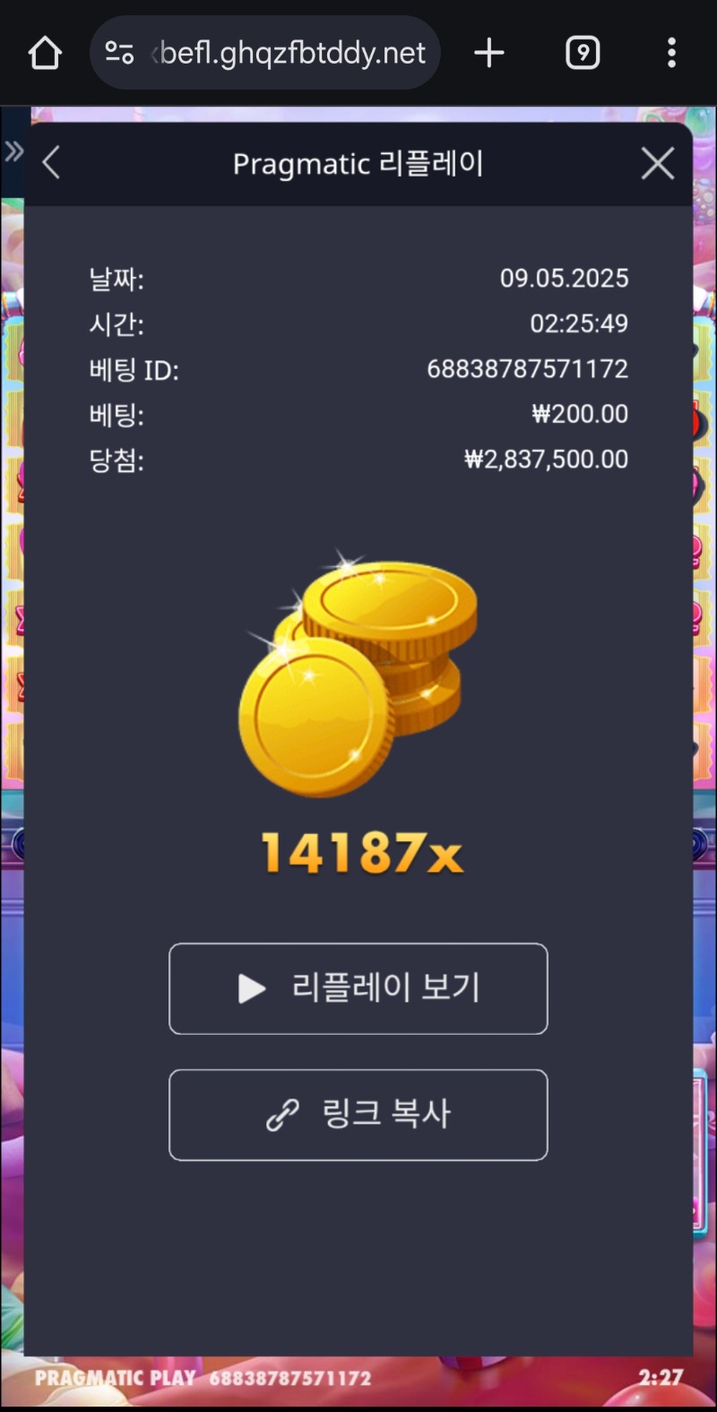 로얄슈천 14187배