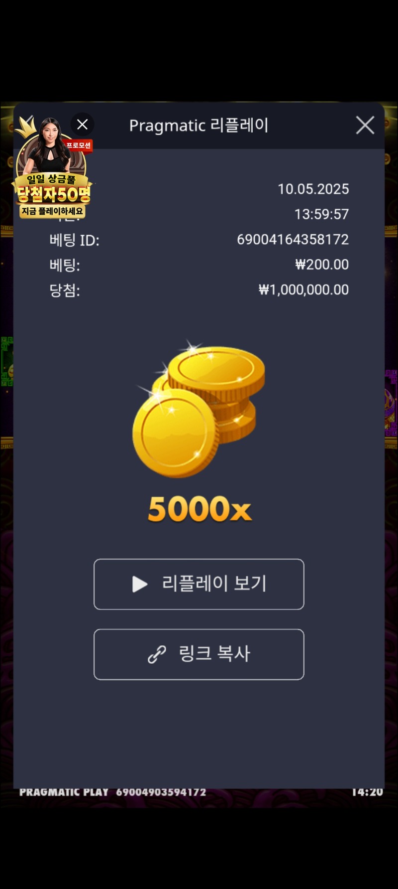 토라메. 5000