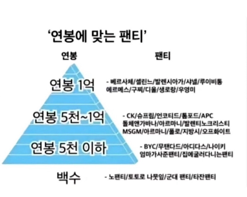 연봉별 팬티 정리