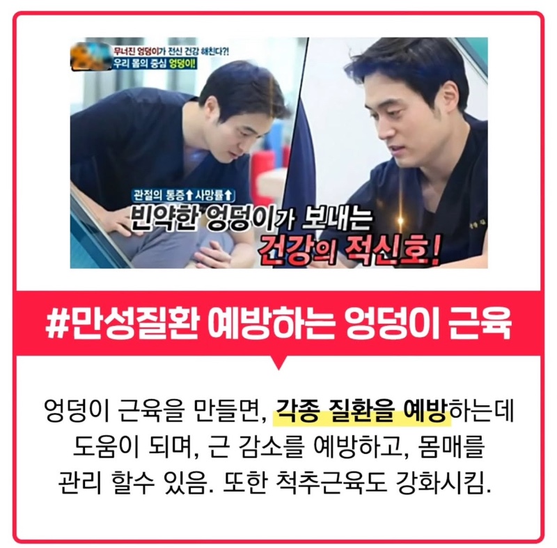 엉덩이 큰 사람이 오래사는 이유