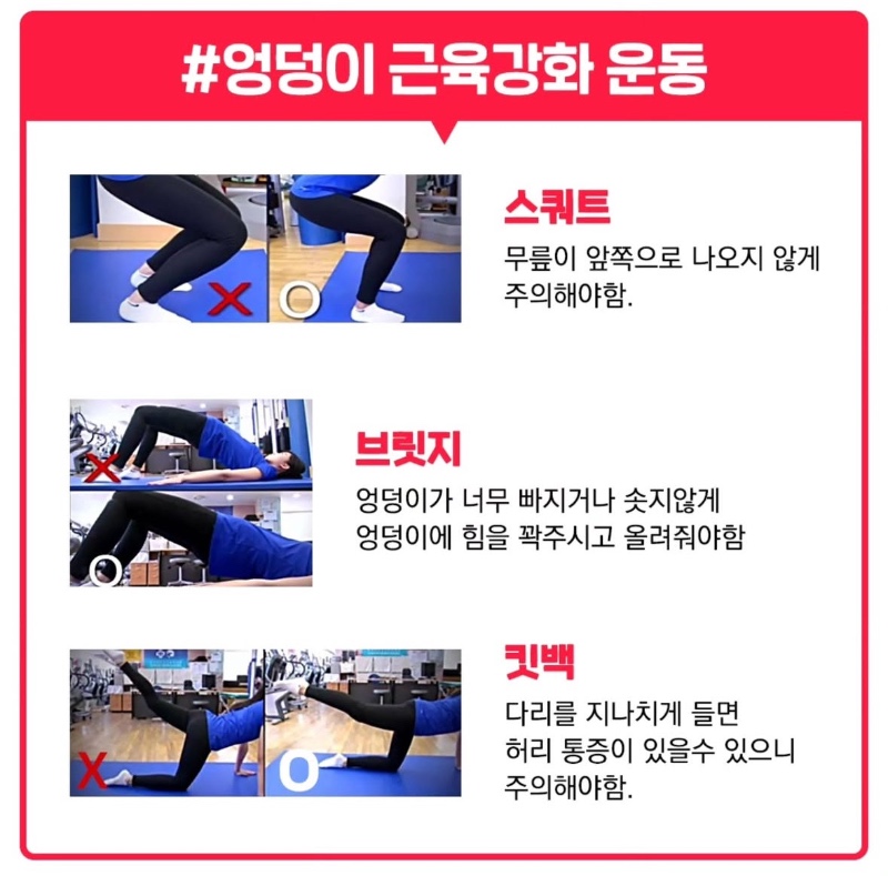 엉덩이 큰 사람이 오래사는 이유